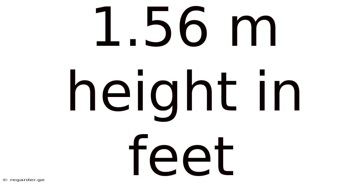 1.56 M Height In Feet