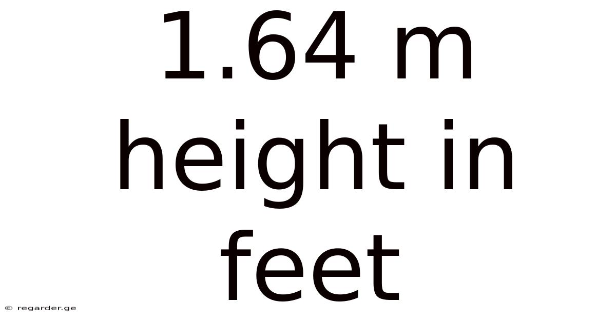 1.64 M Height In Feet