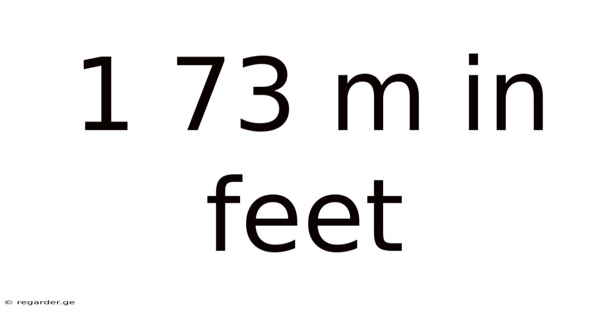 1 73 M In Feet