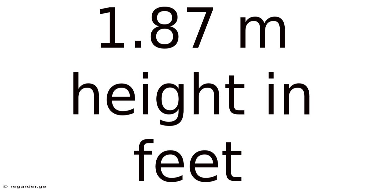 1.87 M Height In Feet