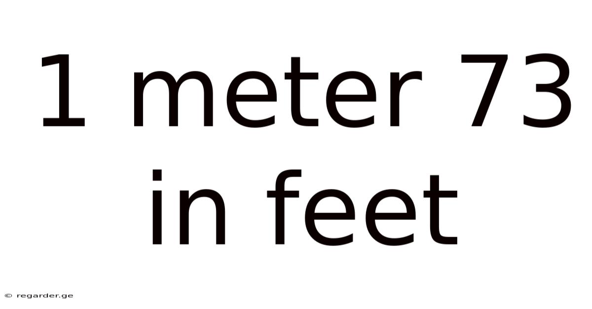 1 Meter 73 In Feet
