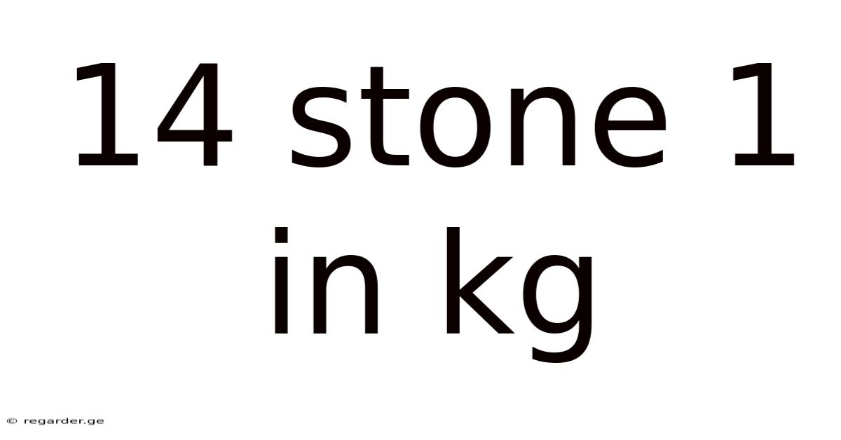 14 Stone 1 In Kg