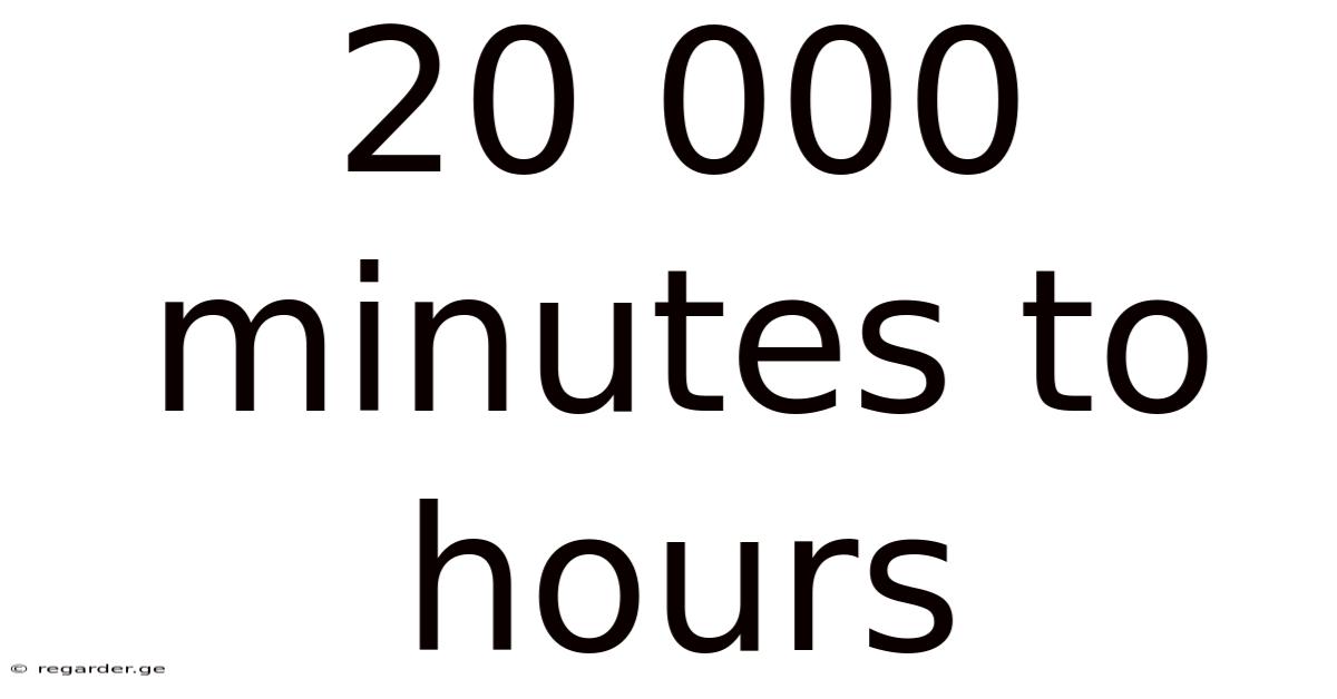 20 000 Minutes To Hours