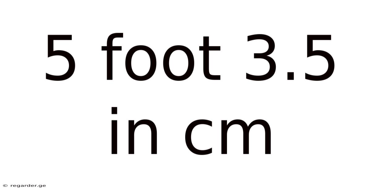 5 Foot 3.5 In Cm