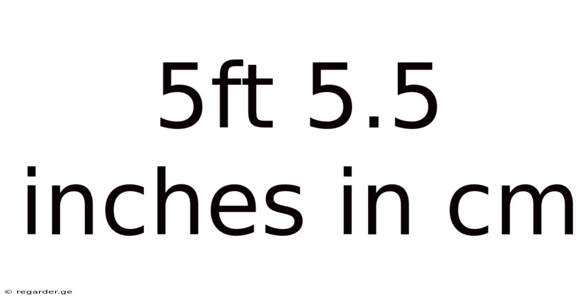 5ft 5.5 Inches In Cm