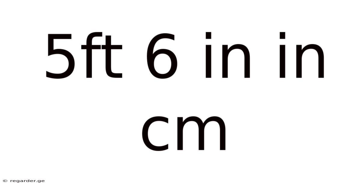 5ft 6 In In Cm