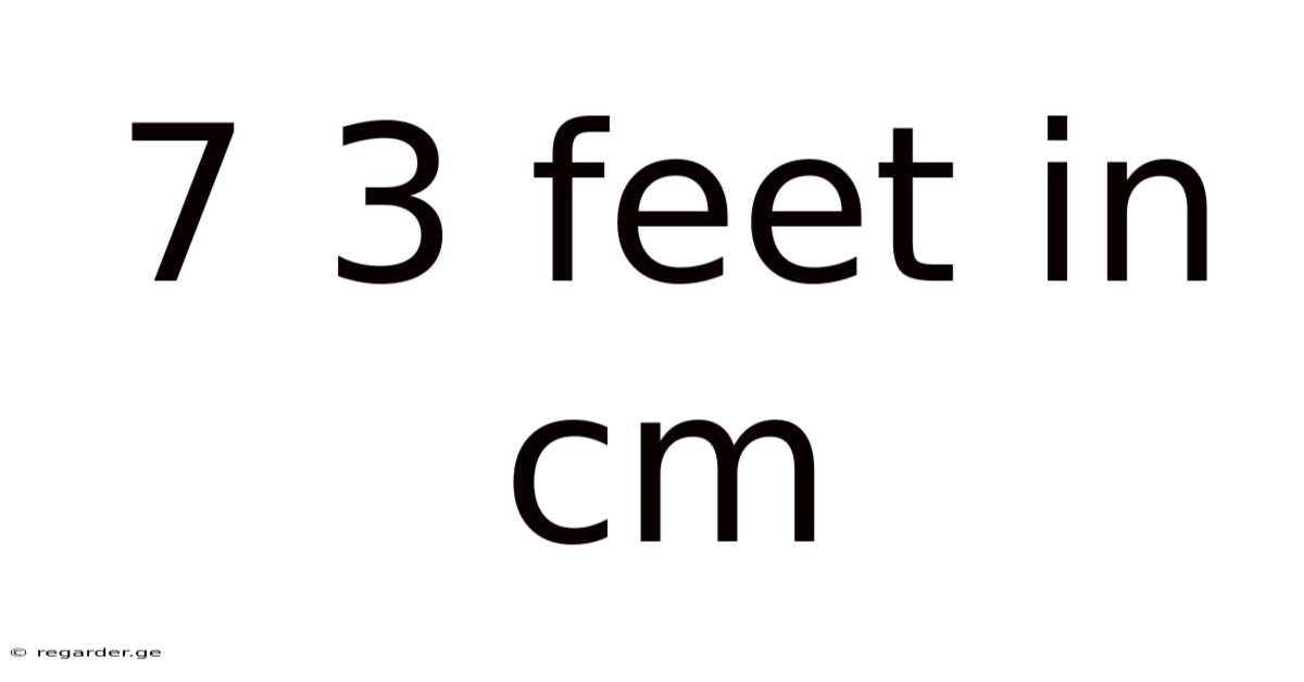 7 3 Feet In Cm
