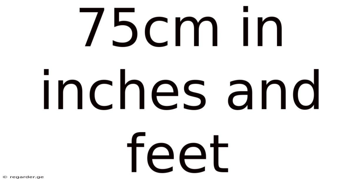 75cm In Inches And Feet