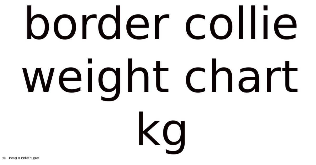 Border Collie Weight Chart Kg