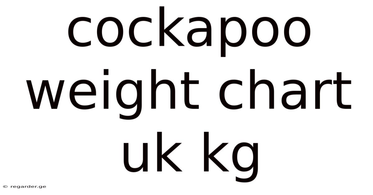 Cockapoo Weight Chart Uk Kg