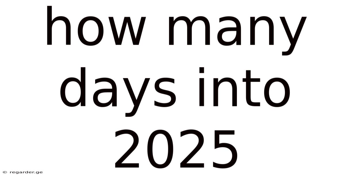 How Many Days Into 2025