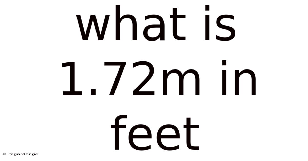 What Is 1.72m In Feet