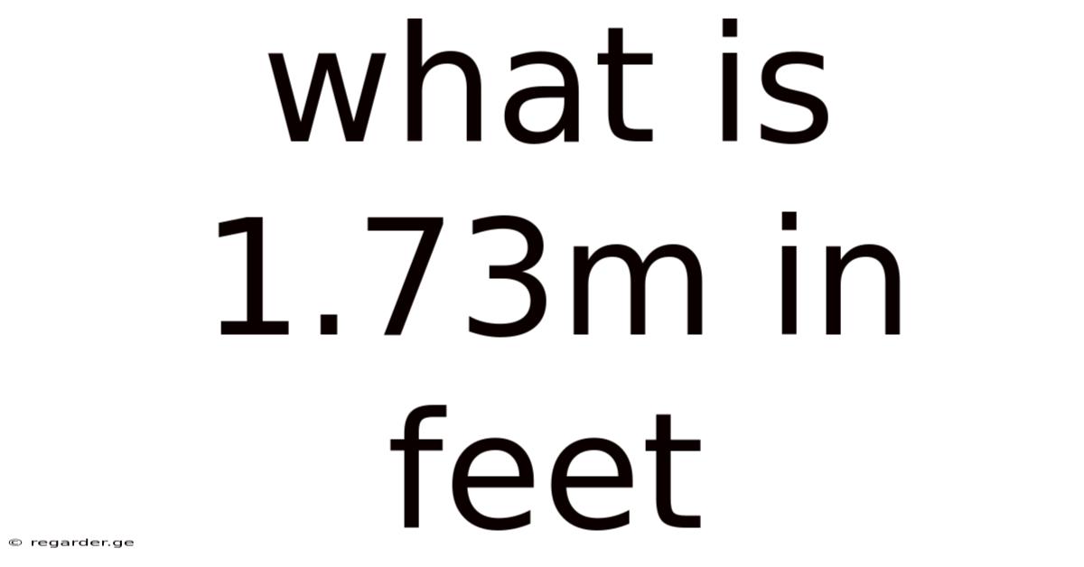 What Is 1.73m In Feet
