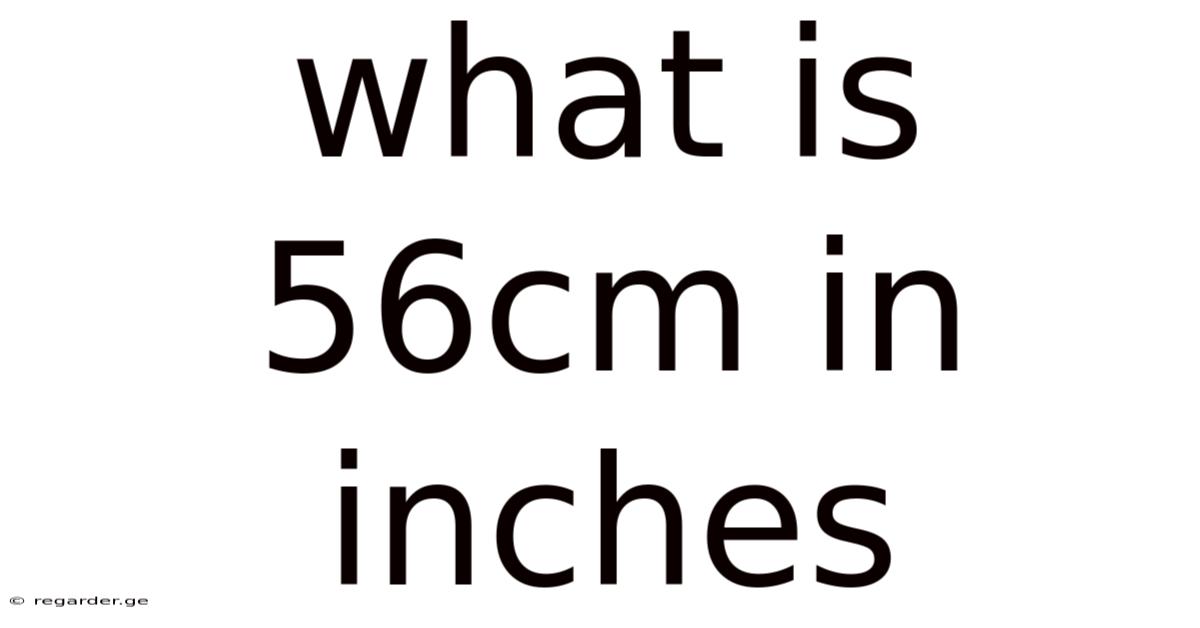 What Is 56cm In Inches