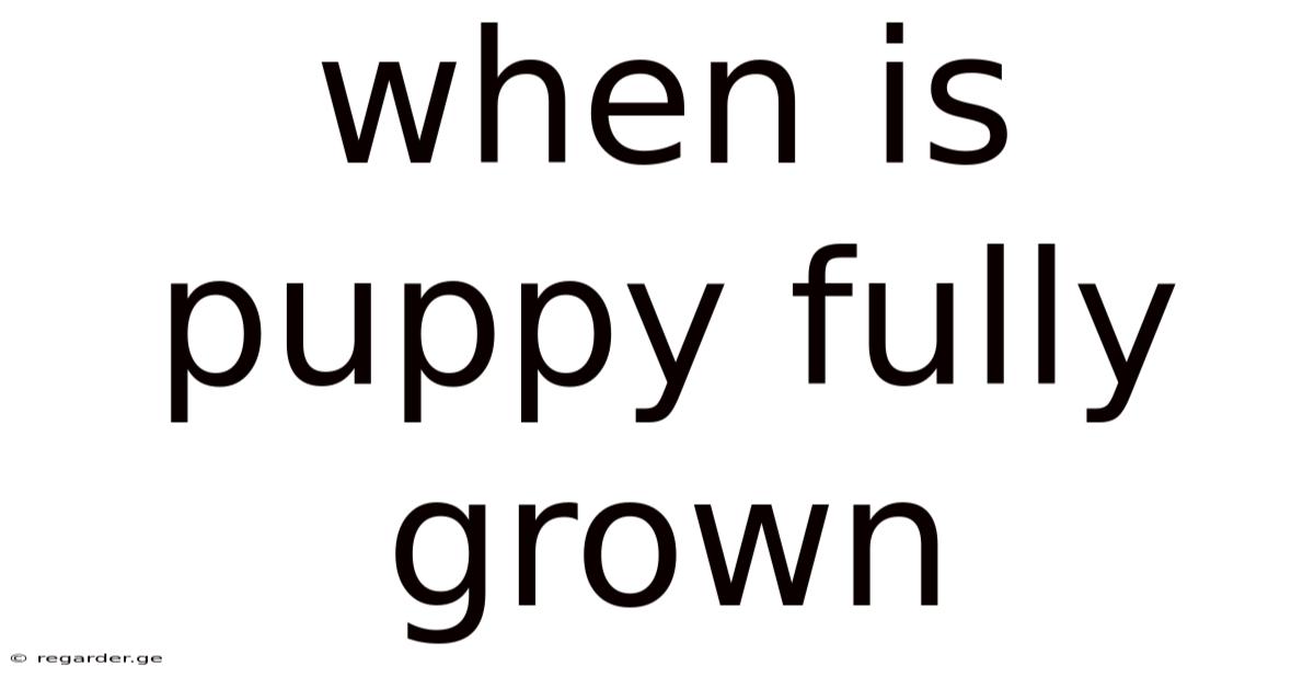 When Is Puppy Fully Grown