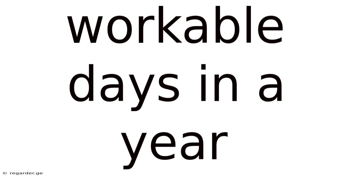 Workable Days In A Year